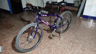 Bicicleta de Montaña AT-200 Sunshine