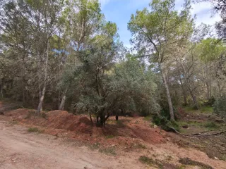 TERRENO URBANIZABLE NAQUERA, URBANIZA. CORRAL NOU