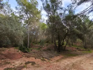 TERRENO URBANIZABLE NAQUERA, URBANIZA. CORRAL NOU