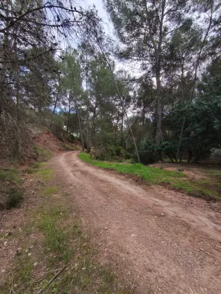 TERRENO URBANIZABLE NAQUERA, URBANIZA. CORRAL NOU