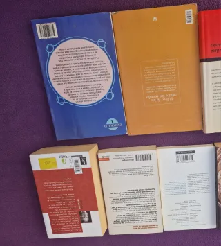 Lote libros literatura