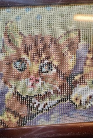 Kit Punto de Cruz Gatitos Manualidades