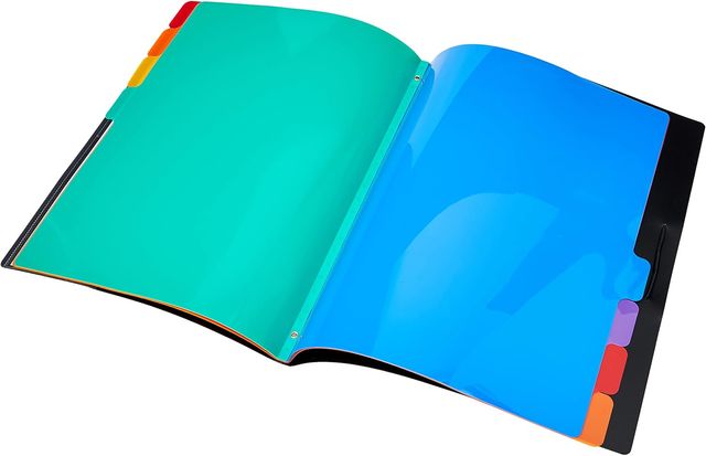 Viquel Rainbow Pasta Classificadora 8 posições