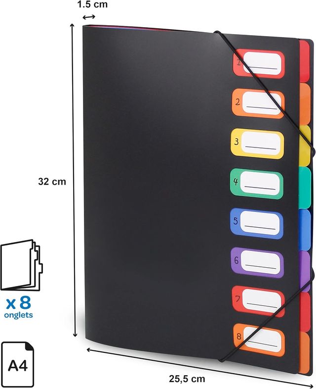 Viquel Rainbow Pasta Classificadora 8 posições