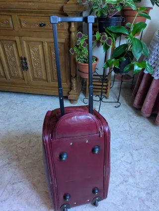 Maleta de viaje con ruedas color burdeos