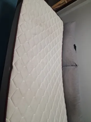 Oferta!!!Colchón individual 100 x22 x190