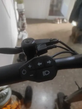 Patín Eléctrico Ecoxtrem 100W