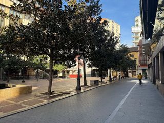 Piso en alquiler en Centro en Valladolid