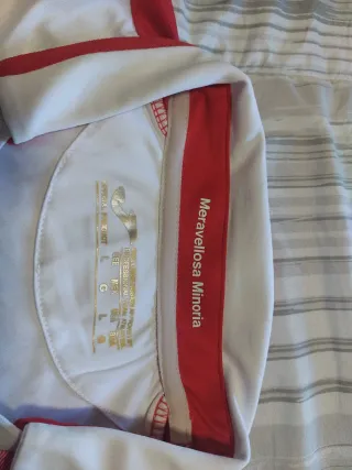 Camiseta RCD Espanyol Talla L 16/17