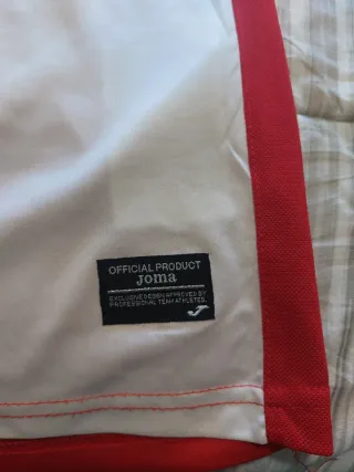 Camiseta RCD Espanyol Talla L 16/17