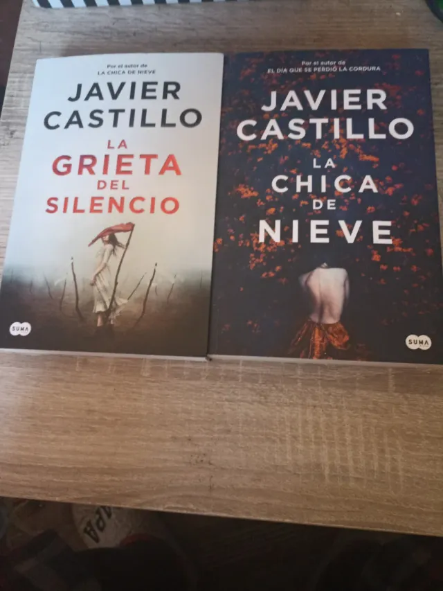 Libros De Javier Castillo