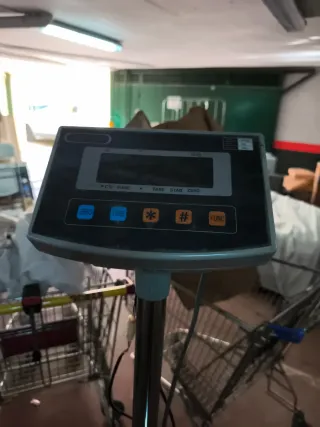 Báscula Profesional Hostelería