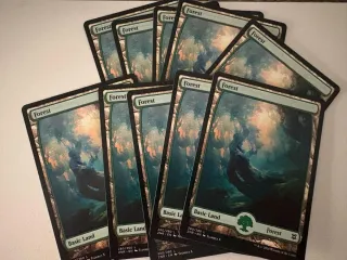 10 Bosques Full Art MTG Commander