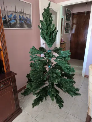 Abeto Verde Canyon Spruce 180cm