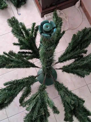 Abeto Verde Canyon Spruce 180cm