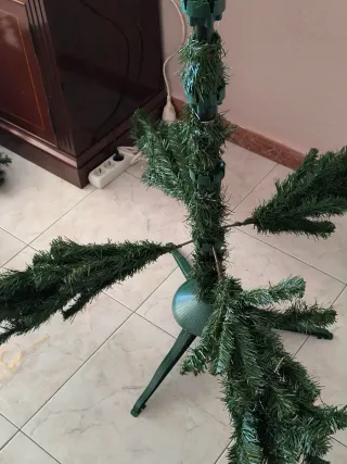 Abeto Verde Canyon Spruce 180cm