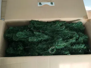 Abeto Verde Canyon Spruce 180cm