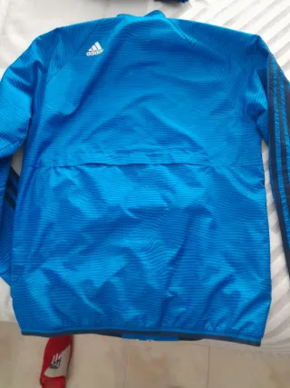 Chándal Real Madrid Champions League Adidas