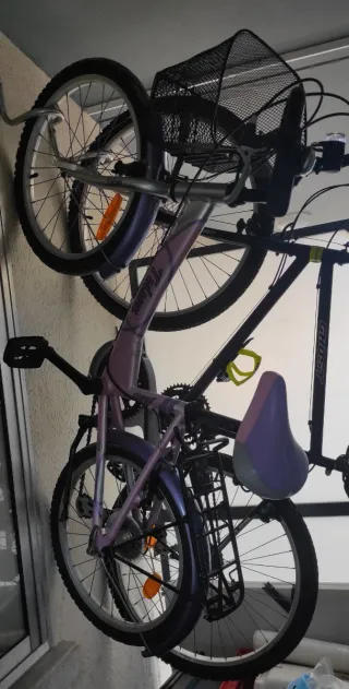 Bicicleta infantil morada