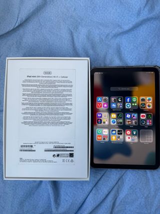 iPad mini 6 64GB rosa dorato