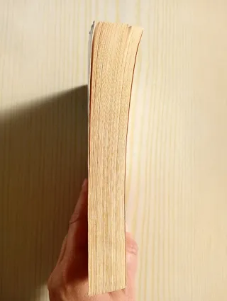 Il existe une solution spirituelle à tous vos problèmes