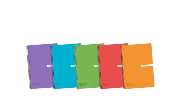 5 Caderno ENRI A5 quadriculado 4x4 80f Cores