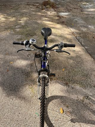 Bicicleta de Montaña Freerider Azul