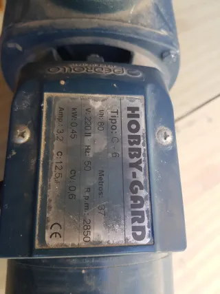 Bomba de agua Pedrollo