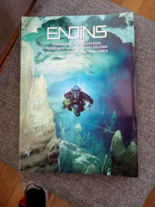Revista ENDINS Espeleología Nº 31