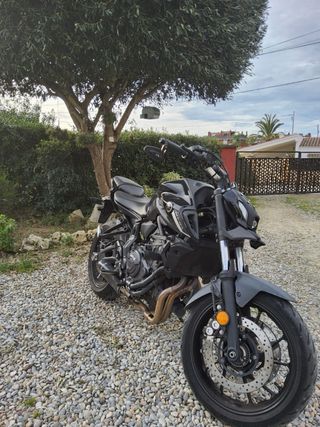 Yamaha MT-07 2023