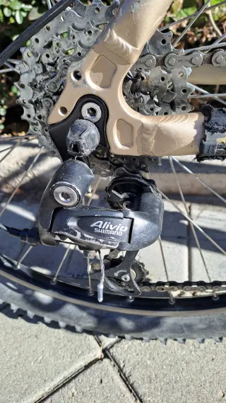 Bicicleta de Montaña