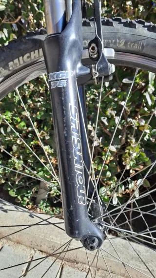 Bicicleta de Montaña