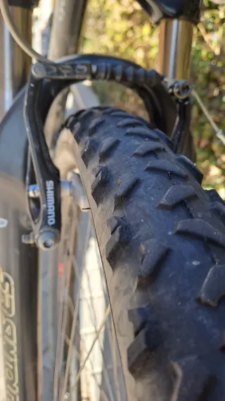 Bicicleta de Montaña