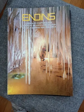 ENDINS - Publicació Espeleologia