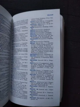 Diccionario Esencial Frances (Spanish Edition)