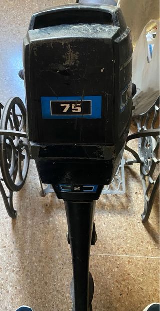 Motores fueraborda Mercury 110 hp y 75 hp