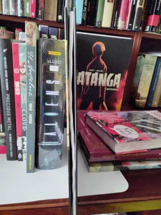 Hawkmoon 2  La batalla de la Camarga