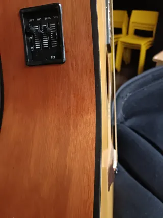 Guitarra Fender DG-17EM 1996 Natural