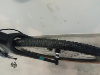 Santa Cruz Stigmata Hasta el 15/12/2025