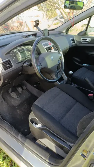 Peugeot 307 2001