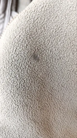 The North Face Evolve II Triclimate XL