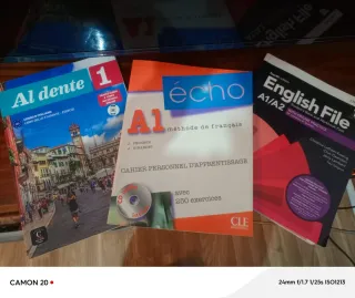 Al dente 1 italiao Écho A1Francés)  English File A