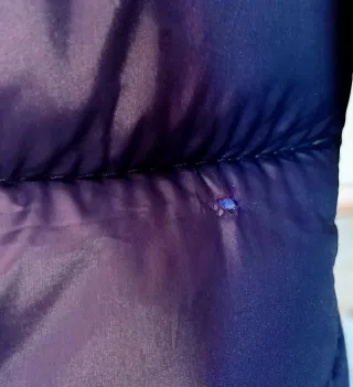 Chaqueta acolchada azul mujer Koroshi