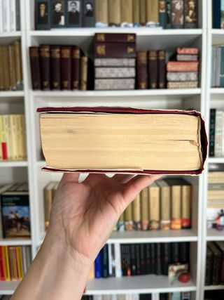 Los Buddenbrook. Thomas Mann