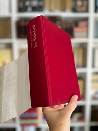 Los Buddenbrook. Thomas Mann