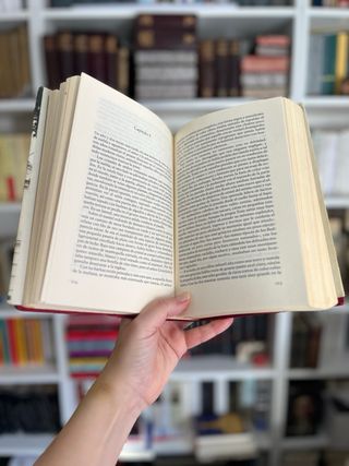 Los Buddenbrook. Thomas Mann