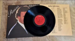 Vinilo Raíces Julio Iglesias