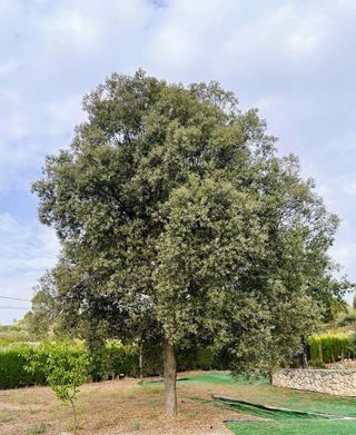 Chalet en venta en Alcoy/Alcoi