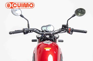 BENELLI LEONCINO 500 TRAIL