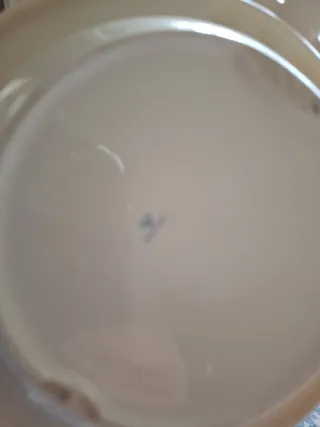 Cinzeiro Goebel com figura Lindo